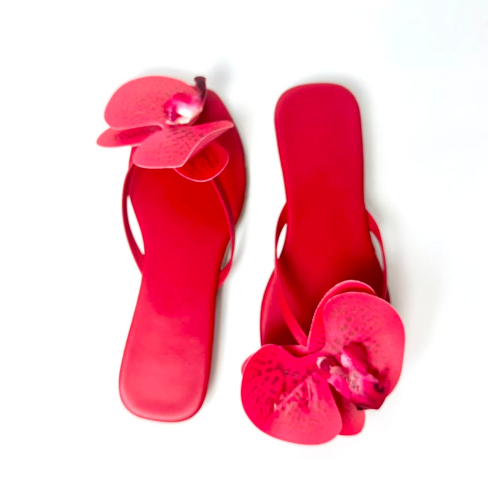 Hawaii Red