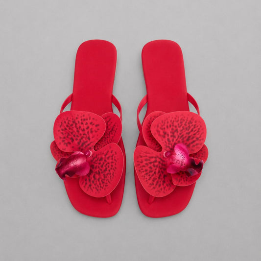 Hawaii Red