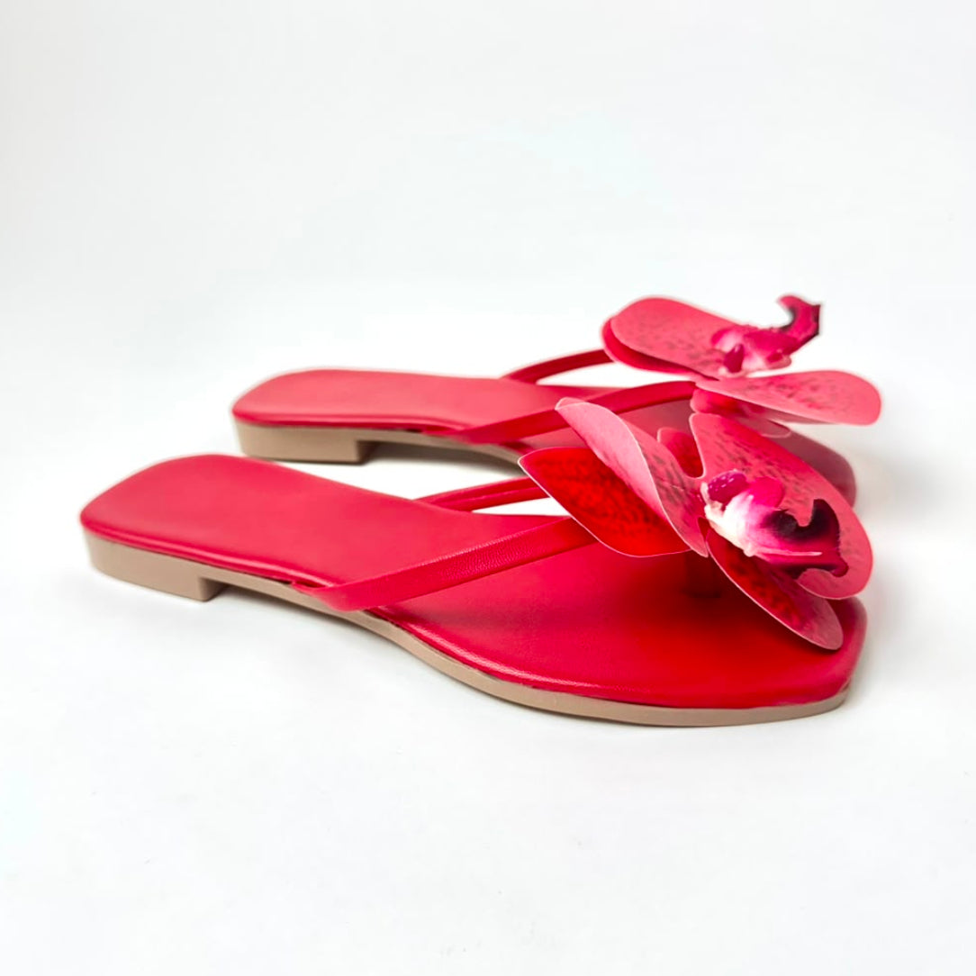 Hawaii Red